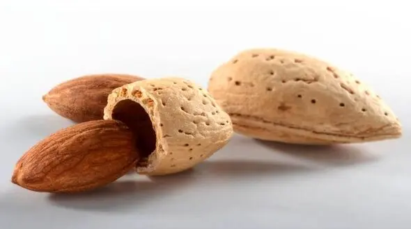خوشمزه چربی سوز