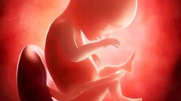 برخورد قضایی با پزشک متخلف