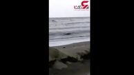 بلایی که سر دریای خزر آمد! + فیلم