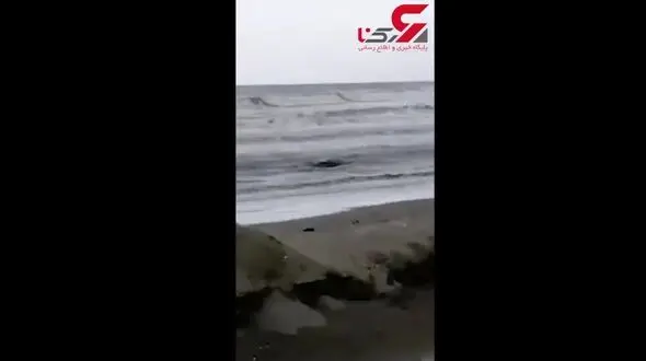 بلایی که سر دریای خزر آمد! + فیلم
