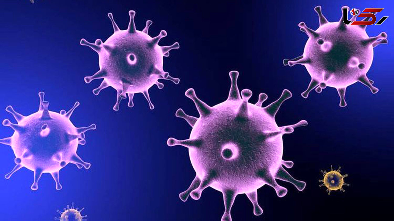 تعداد مبتلایان به ویروس کرونا در قزوین به ۸۰ نفر افزایش یافت