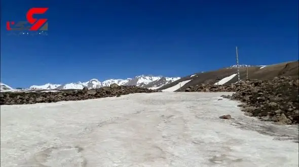 هماغوشی برف و گل های بهاری در دامنه سبلان