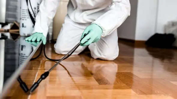 خدمات سمپاشی منازل و محل کار توسط شرکت رادین تک