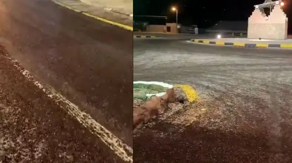 فیلم حمله سوسک ها به عربستان سعودی / علت چه بود؟