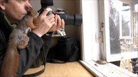 مجموعه تصاویری هیجان انگیز از سنجاب هایی که دست به دوربین عکاس خود برده اند +فیلم و عکس