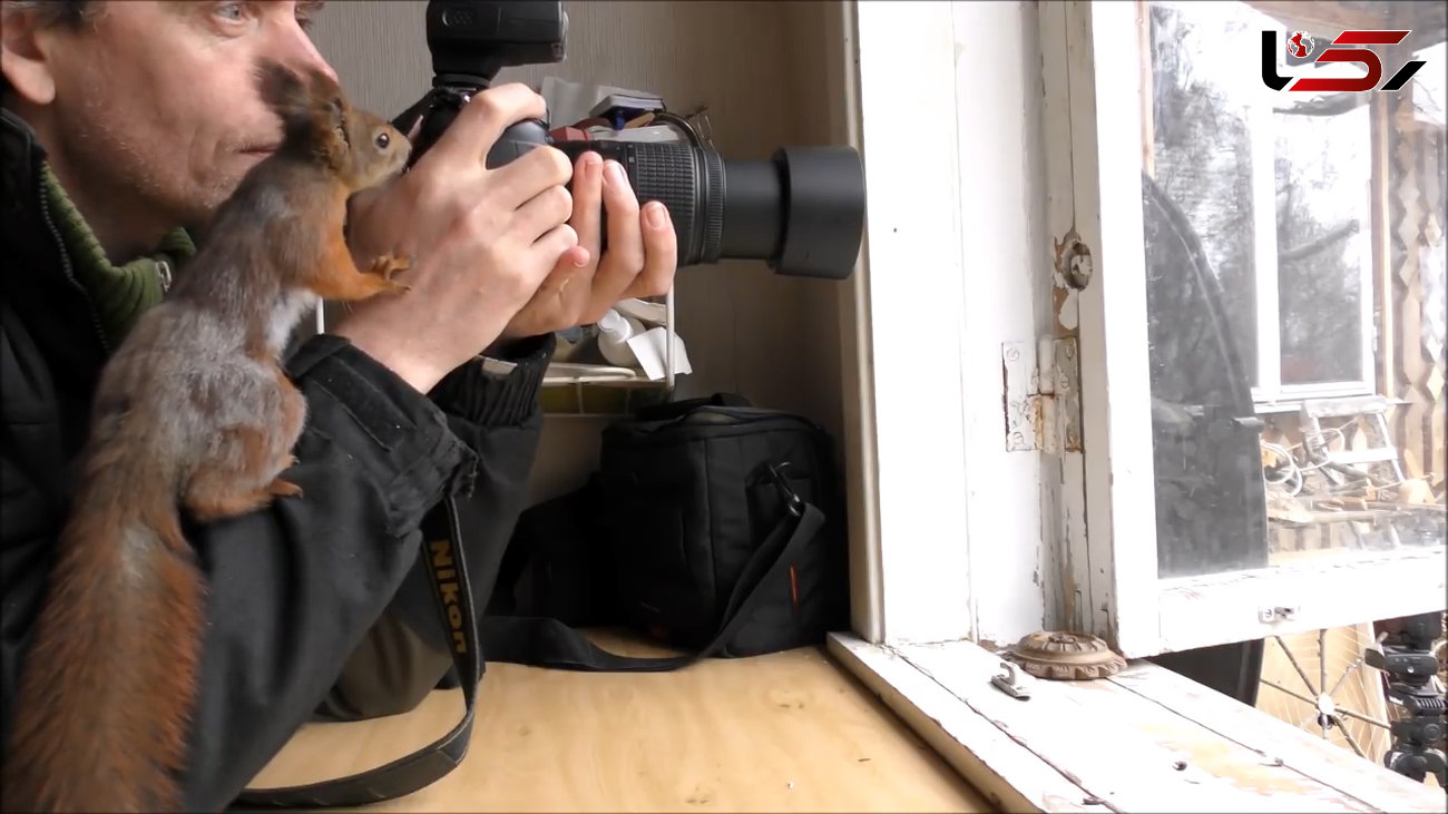 مجموعه تصاویری هیجان انگیز از سنجاب هایی که دست به دوربین عکاس خود برده اند +فیلم و عکس
