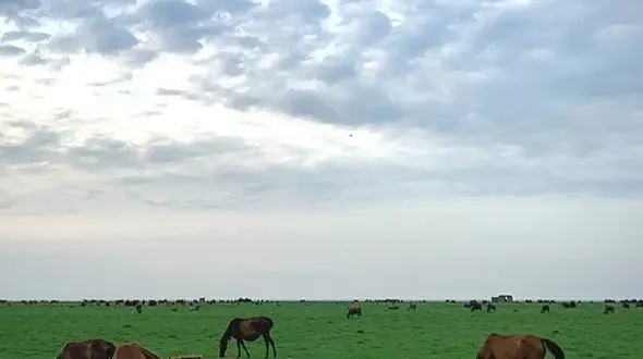 از قدم اسب‌ ها تا رنگ پاییز روایت طبیعت بوجاق  و  گلمرز