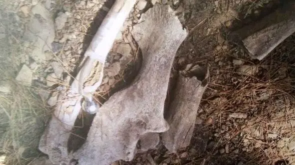 کشف اسکلت انسان بین بوته های حاشیه پیست موتور سواری یافت آباد