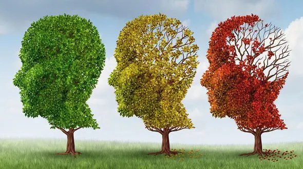 تشخیص آلزایمر از روی تست بینایی 