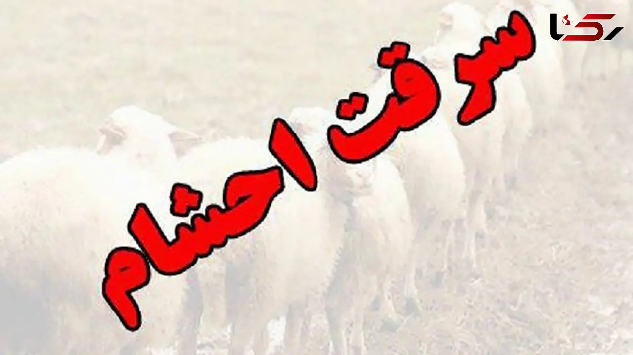 فیلم لحظه به لحظه دستگیری دزدان مسلح در رامشیر خوزستان