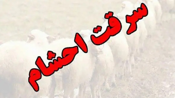 فیلم لحظه به لحظه دستگیری دزدان مسلح در رامشیر خوزستان