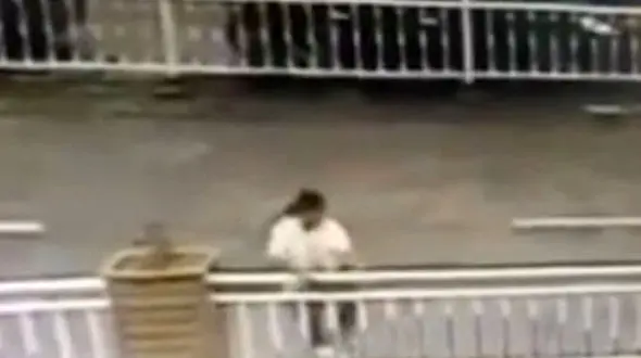 تنبلی عابر پیاده چینی او را گرفتار کرد + فیلم