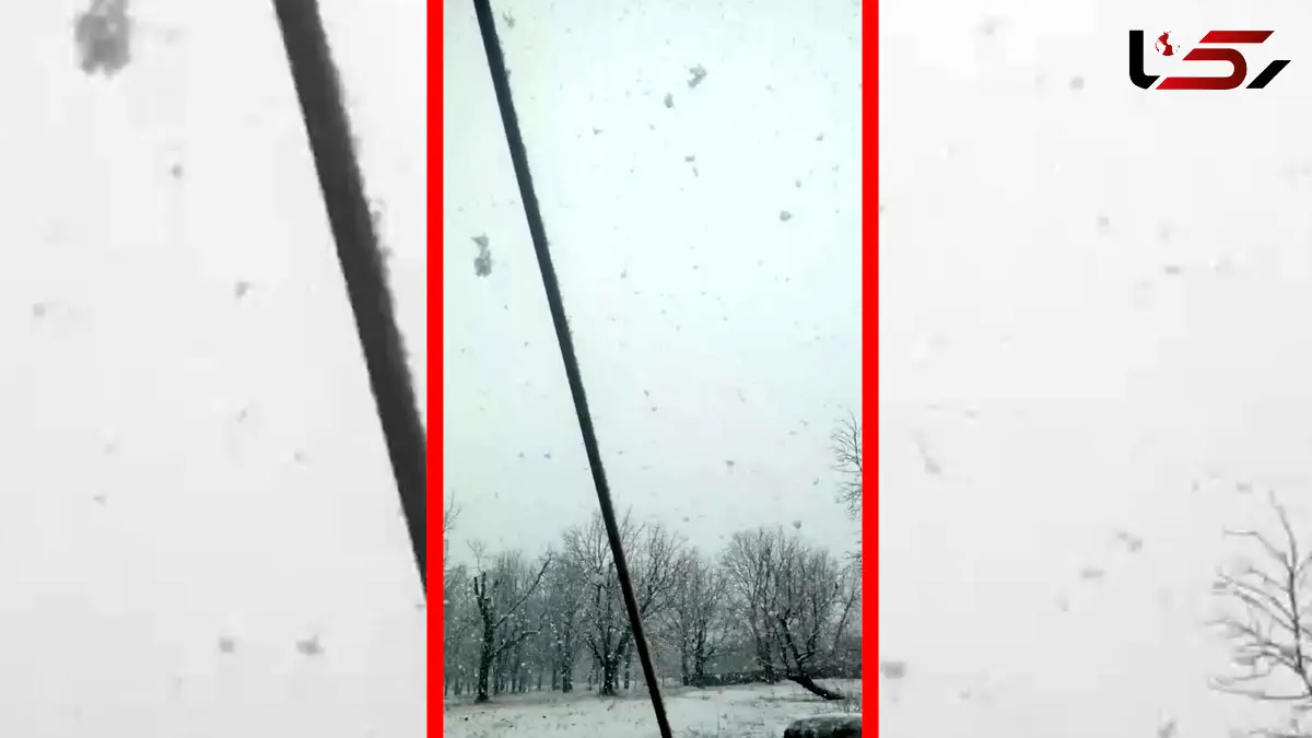 فیلم بارش برف سنگین در تویسرکان همدان