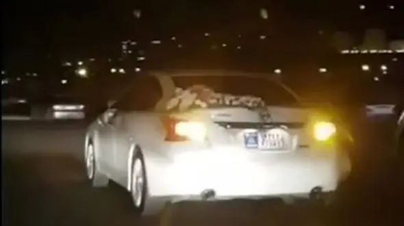 زلزله عروس و داماد تبریزی را آواره خیابان کرد + فیلم