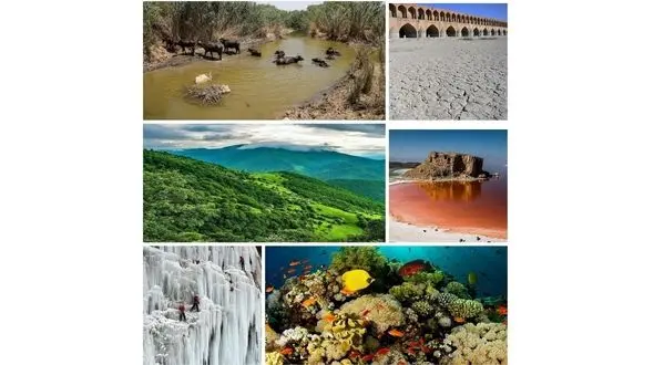 ما ایرانیان امروز،ثروت حداقل 3,134 نوزاد را با سکوت و بی تفاوتی نابود کردیم / ویرانی غیر قابل بازگشت!