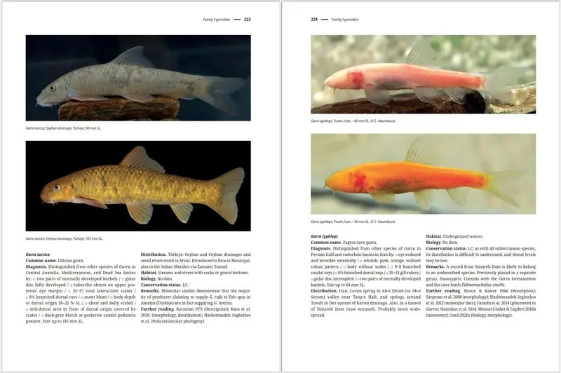 کتاب راهنمای ماهیان آب شیرین غرب آسیا4