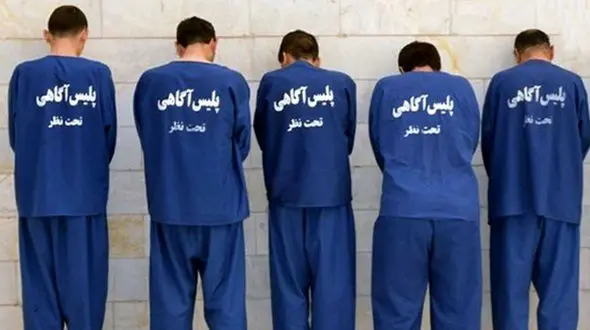 باند جست و جو گنج هنگام حفاری به دام افتادند / 5 نفر دستگیر شدند