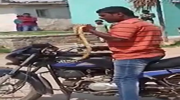 فیلم لحظه بلعیدن مار زنده توسط این جوان / هندی + فیلم