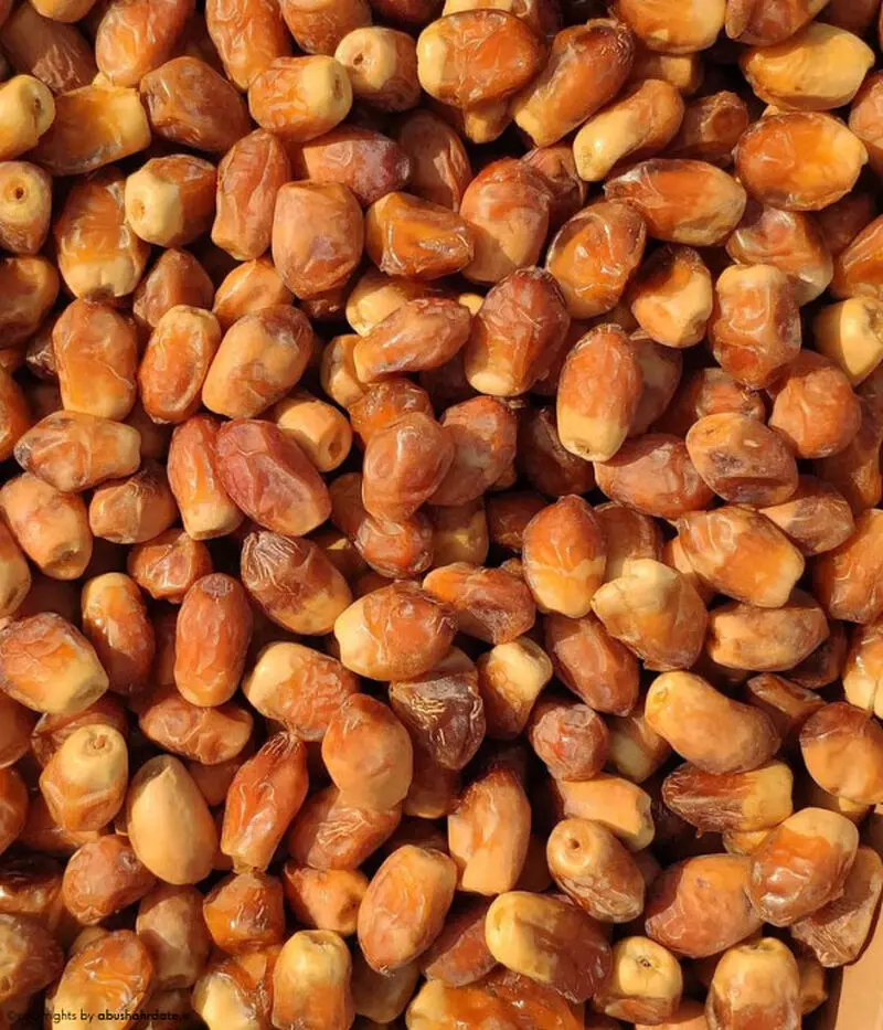 خرمای زاهدی