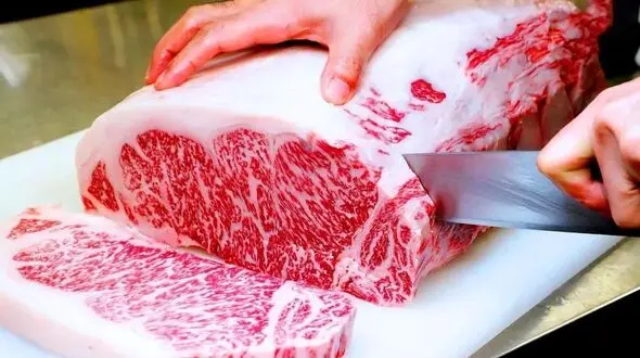  ببینید ژاپنی ها چگونه گران ترین گوشت گاو جهان را تولید می کنند! + فیلم