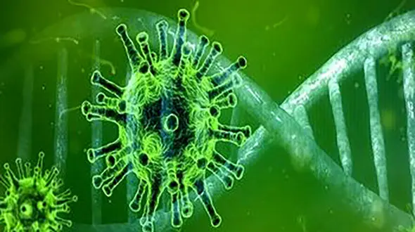 شکنجه 3 فرزند بخاطر نزدن ماسک توسط مادرشان / هر 3 کرونا گرفتند + عکس