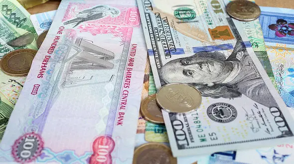 پیش فروش ارز آغاز می‌ شود