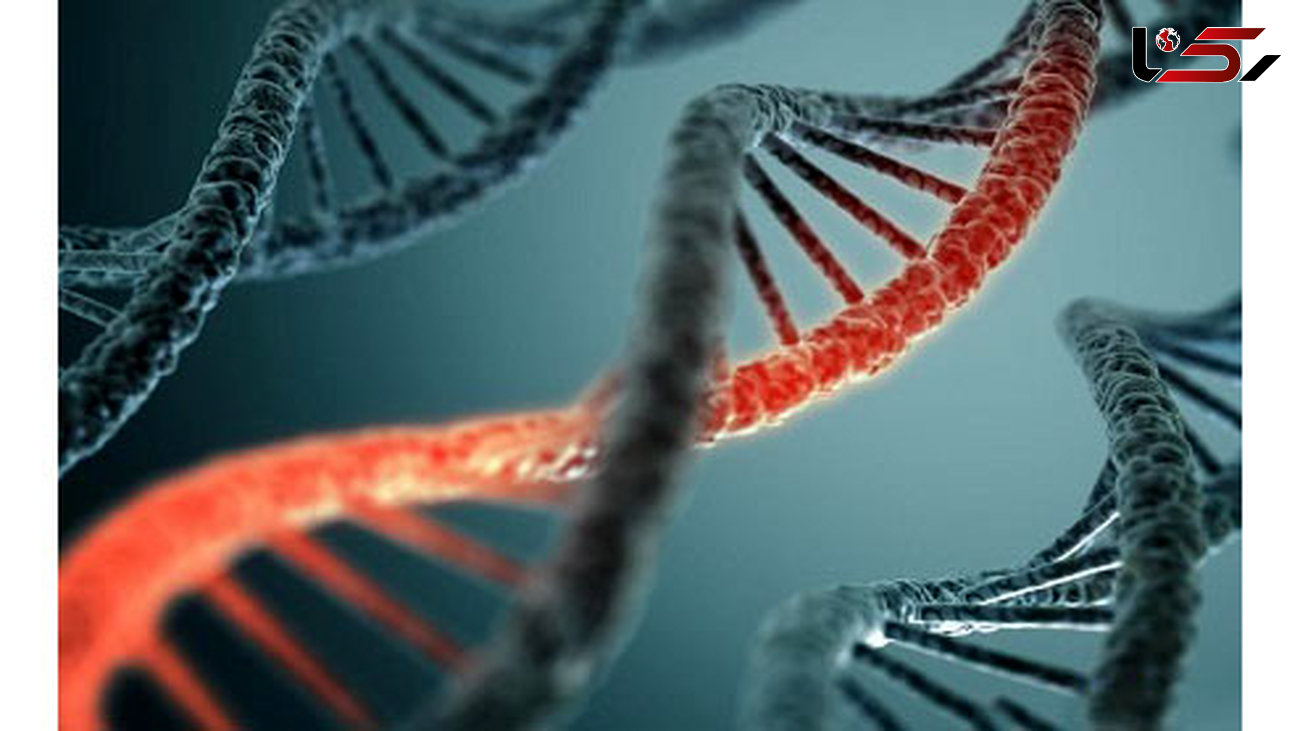 درمان بسیاری از بیماری ها با مهندسی ژنتیک امکان پذیر است