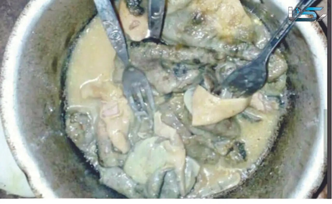 عذرخواهی آقای خبرنگار از سیستانی ها  برای نفهمیدن تفاوت گربه و سیرابی