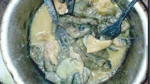 عذرخواهی آقای خبرنگار از سیستانی ها  برای نفهمیدن تفاوت گربه و سیرابی