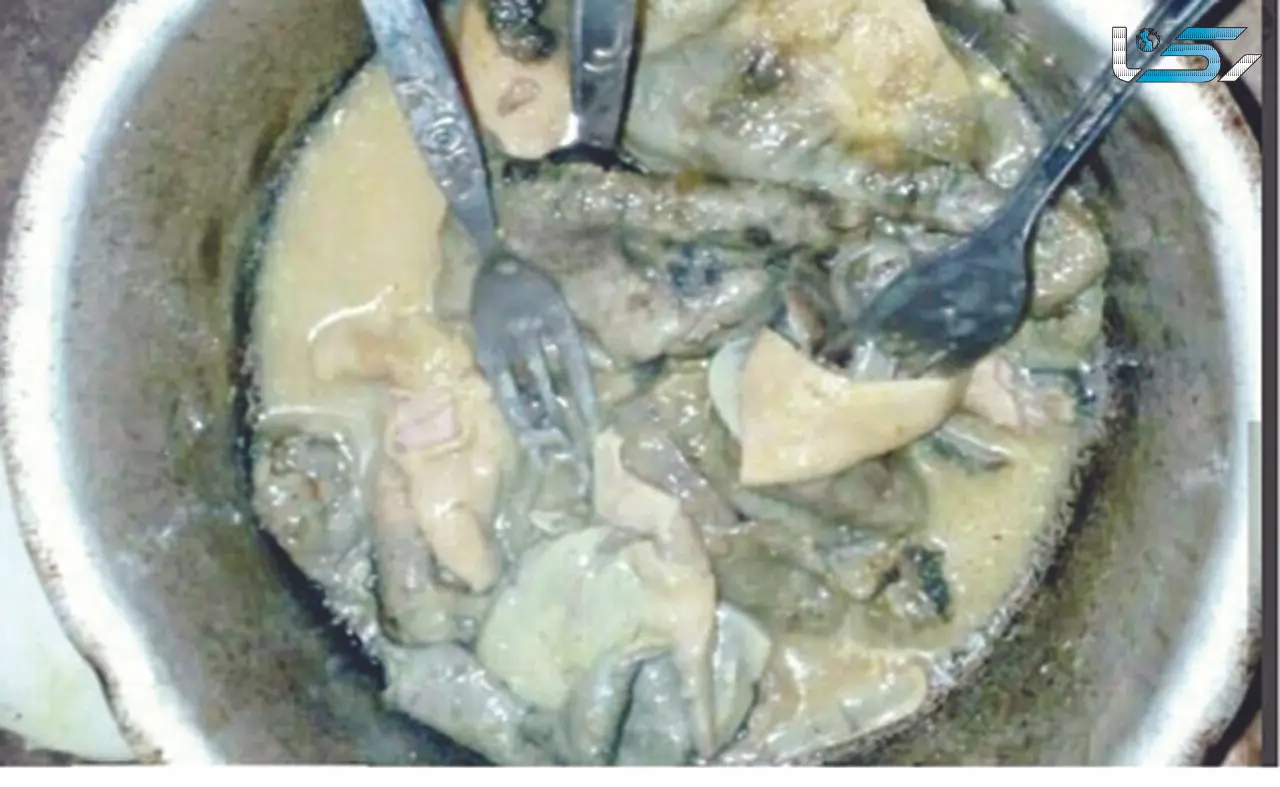 عذرخواهی آقای خبرنگار از سیستانی ها  برای نفهمیدن تفاوت گربه و سیرابی