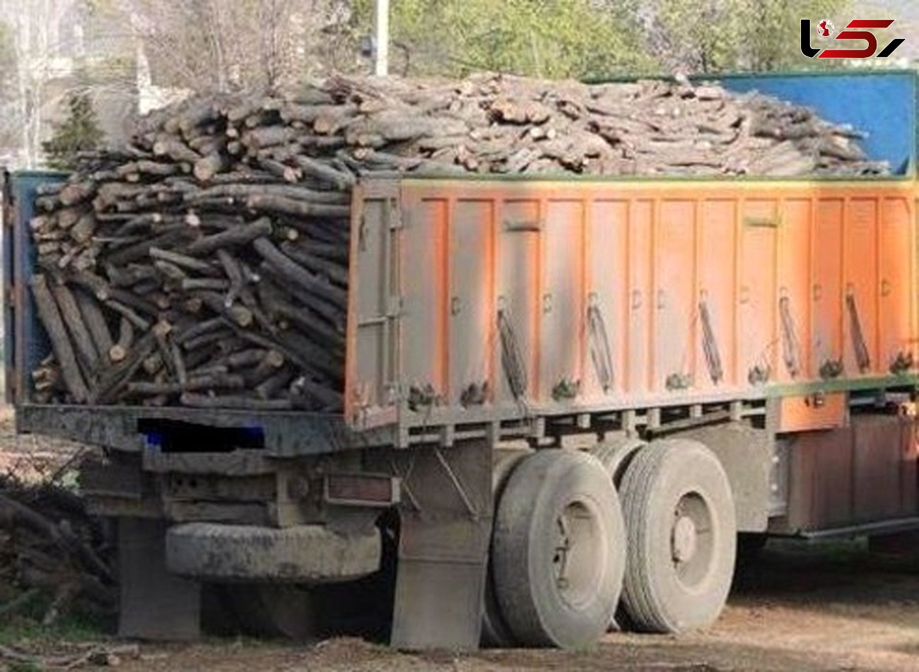 اشد مجازات درانتظار قاچاقچیان قطع و حمل چوب آلات جنگلی در گلستان