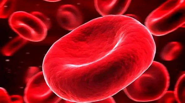 کدام گروه خونی طول عمر بیشتری دارد؟ راز سلامتی آشکار شد!