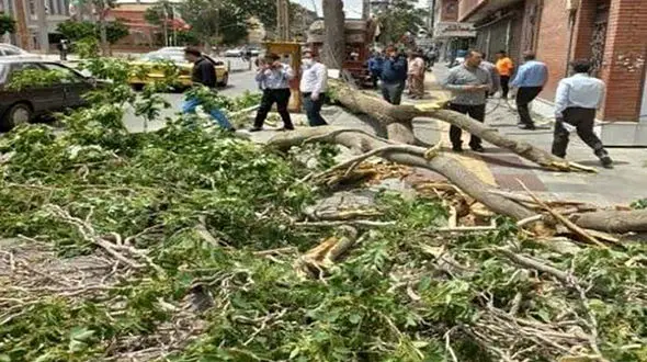 طوفان ویرانگر در ارومیه / 50 درخت شکست و 9نفر  زخمی شدند + جزئیات 