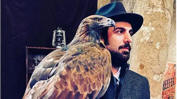 عقاب بزرگ حیوان خانگی آقای بازیگر