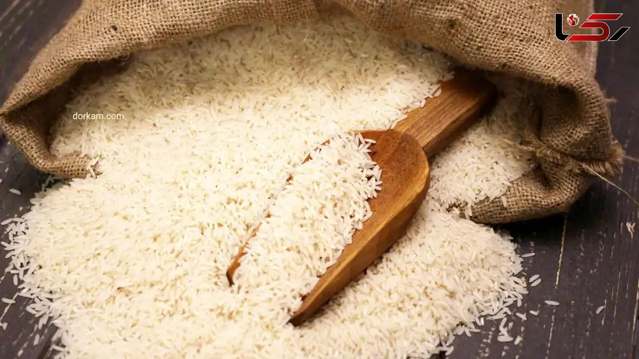 راهنمای کامل انتخاب برنج در پخت برنج کته و آبکش بدون شفته شدن / فیلم