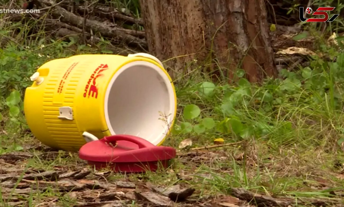 کشف جسد درون سطل پلاستیکی شناور /در فلوریدا رخ داد