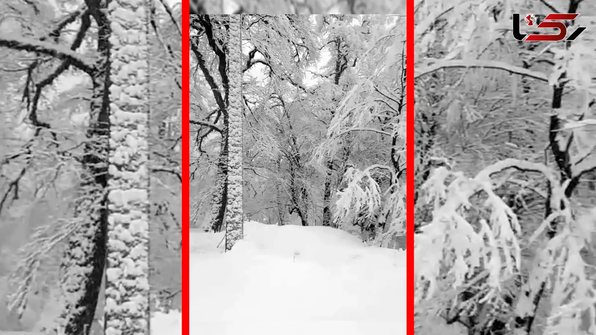 فیلم زیبایی زمستانی جواهردشت رودسر