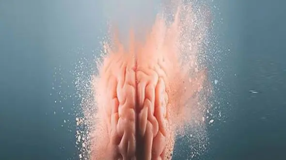 حقایقی جالب درباره قدرت مغز انسان