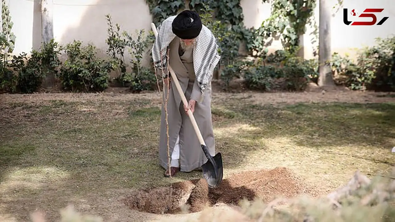 درختکاری تولید ثروت و یک عمل صالح است / نهضت ملی درختکاری جدی گرفته شود و ادامه یابد