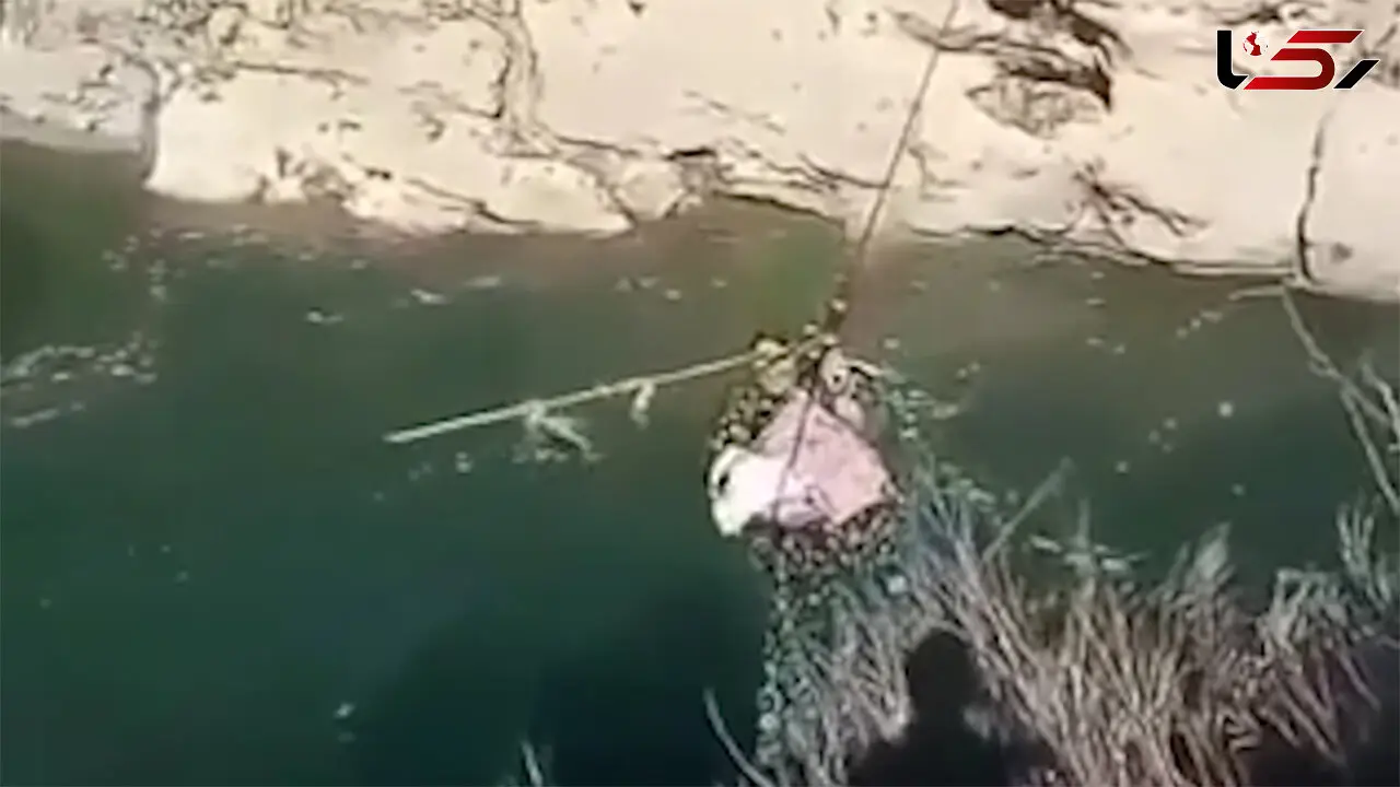 فیلم لحظات دلهره آور عبور زن جوان و نوزادش از رودخانه ای بزرگ در بویر احمد