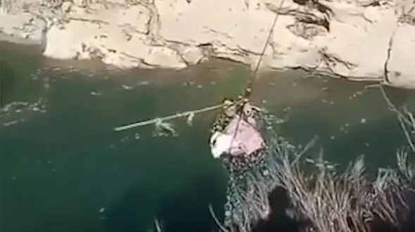 فیلم لحظات دلهره آور عبور زن جوان و نوزادش از رودخانه ای بزرگ در بویر احمد