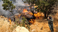 آتش سوزی در منطقه میانجنگل فسا 