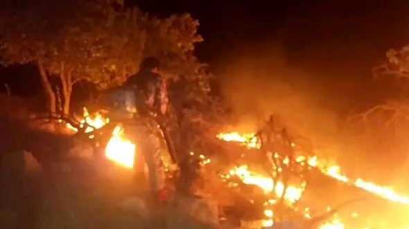 باز هم آتش سوزی / درخواست کمک برای آتش سوزی ارتفاعات جهرم 