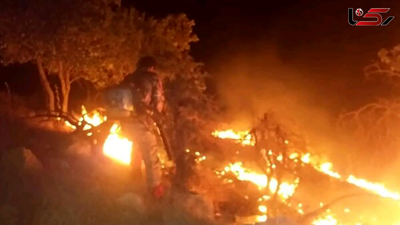 فیلم آتش زدن عمدی درختان روبروی دانشگاه آزاد پردیس / علت این آتش سوزی های عمدی چیست؟