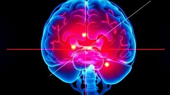  پیام‌رسان‌های مخفی سلول‌ها؛ ابزاری نوین برای شناسایی زودهنگام بیماری‌های خطرناک