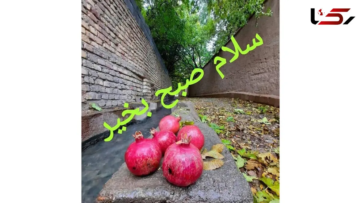 فال ابجد امروز 20 دی 1404