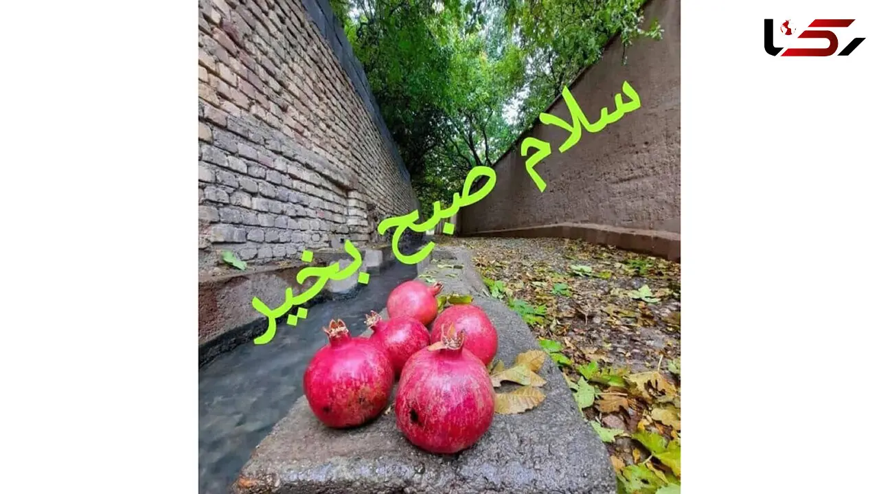 فال ابجد امروز 20 دی 1404