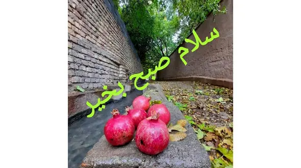 فال ابجد امروز 20 دی 1404