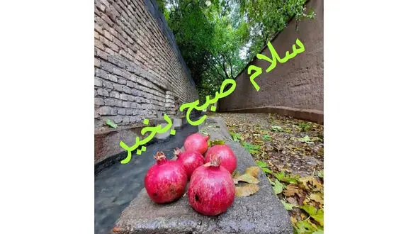 فال ابجد امروز 20 دی 1404
