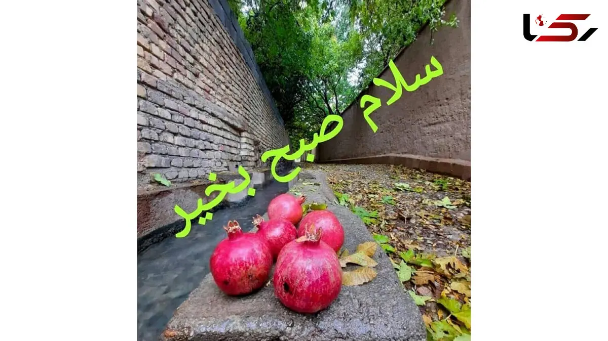 فال ابجد امروز 20 دی 1404